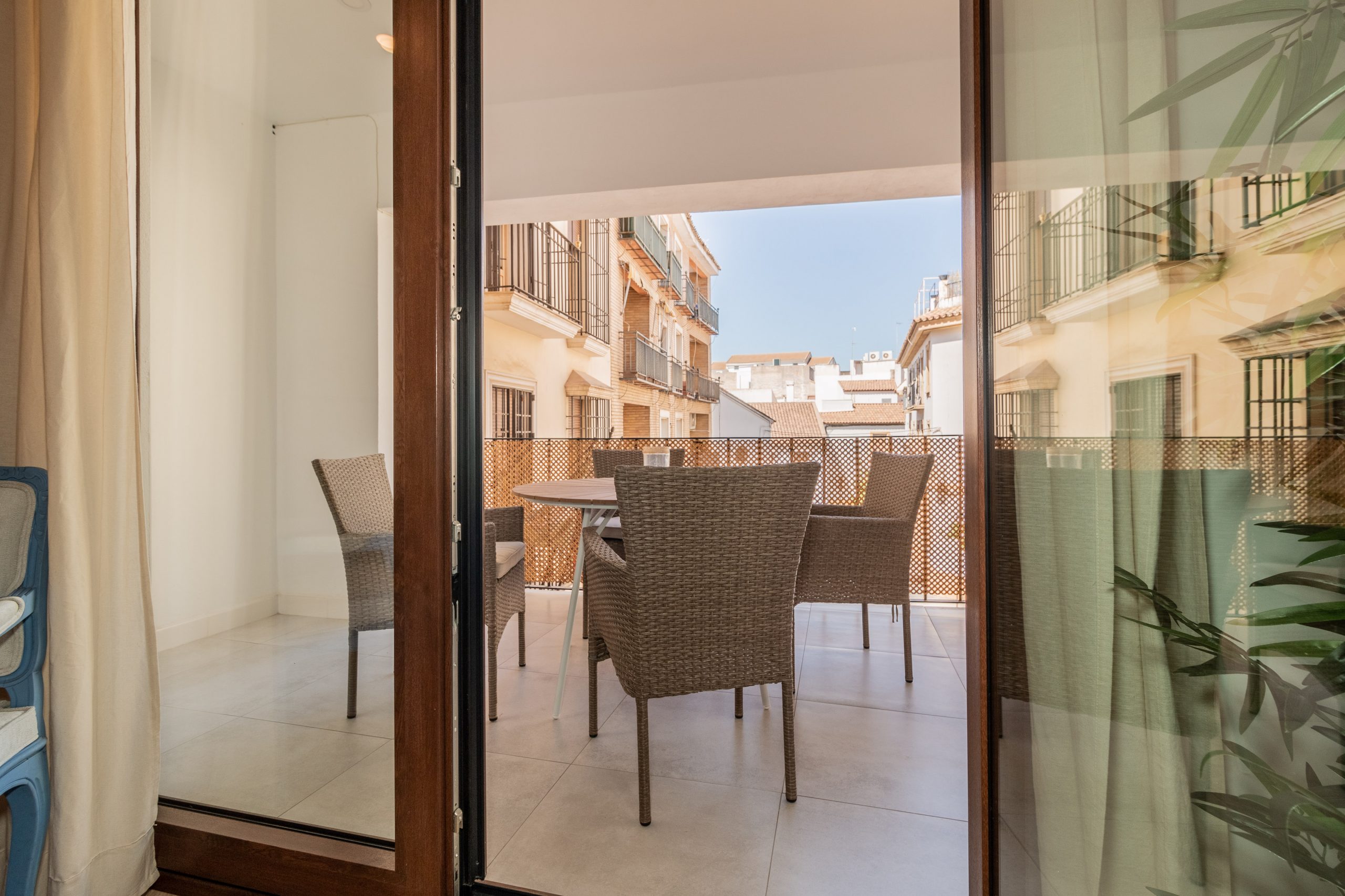 PLAZA DE PINEDA REFORMA GMO